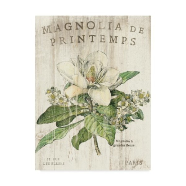 Trademark Fine Art Sue Schlabach 'Magnolia De Printemps' Canvas Art, 35x47 WAP08354-C3547GG